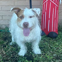 Thumbnail photo of Maverick #2