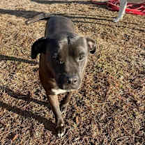 Thumbnail photo of Maverick #1