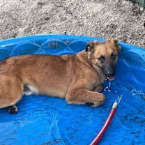 Thumbnail photo of Little Bear #1