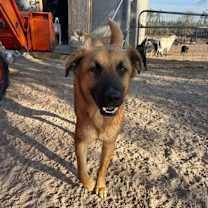 Thumbnail photo of Little Bear #2