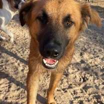 Thumbnail photo of Little Bear #3