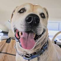 Thumbnail photo of Haus #1