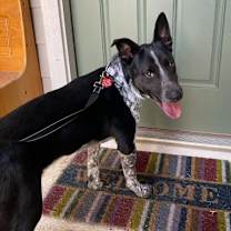 Thumbnail photo of Rip #2