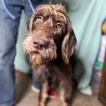 Thumbnail photo of Charlie #1