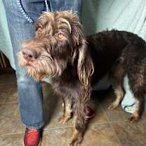 Thumbnail photo of Charlie #3