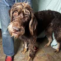 Thumbnail photo of Charlie #4