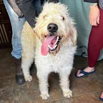 Thumbnail photo of Mo #2