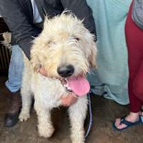 Thumbnail photo of Mo #3