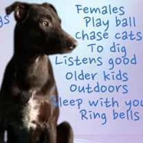 Thumbnail photo of Jasper #2