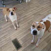 Thumbnail photo of Penelopi (Courtesy Post) #2