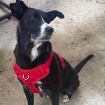 Thumbnail photo of Marina #2