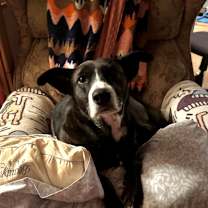 Thumbnail photo of Marina #3