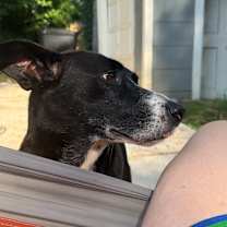 Thumbnail photo of Marina #4