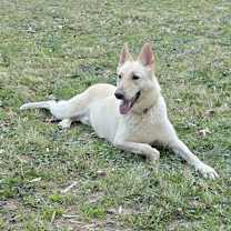 Thumbnail photo of Sloan #2