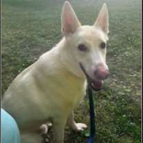 Thumbnail photo of Sloan #4