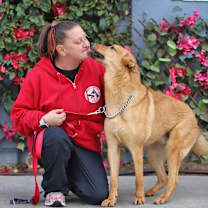Thumbnail photo of Oso von Olching #4
