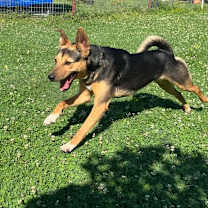 Thumbnail photo of Pat Benatar #1