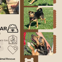 Thumbnail photo of Pat Benatar #2