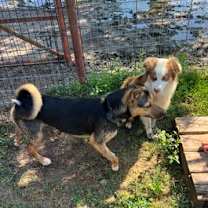 Thumbnail photo of Pat Benatar #3