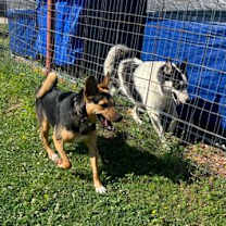 Thumbnail photo of Pat Benatar #4