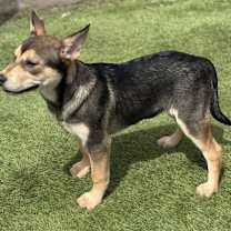 Thumbnail photo of Kya #3