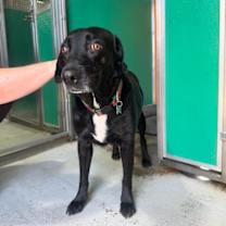 Thumbnail photo of Lucy & Rose #3