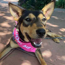 Thumbnail photo of Toph #1