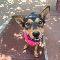 Thumbnail photo of Toph #2