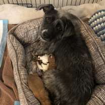 Thumbnail photo of Silver  #2