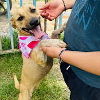 Thumbnail photo of ELLIE #2