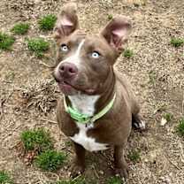 Thumbnail photo of Zoey #1