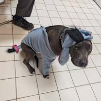 Thumbnail photo of Bubba #2