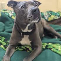 Thumbnail photo of Bubba #3