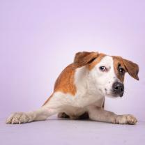 Thumbnail photo of Nucita C #3