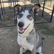 Thumbnail photo of Anna #1