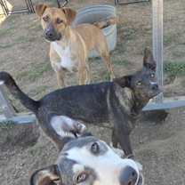 Thumbnail photo of Anna #3