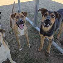 Thumbnail photo of Anna #4