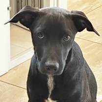 Thumbnail photo of Miles #2