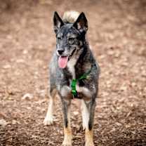 Thumbnail photo of Kita #1