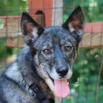 Thumbnail photo of Kita #2