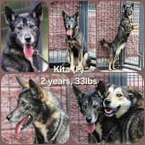 Thumbnail photo of Kita #3