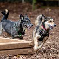 Thumbnail photo of Kita #4