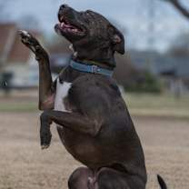 Thumbnail photo of Ezra #1