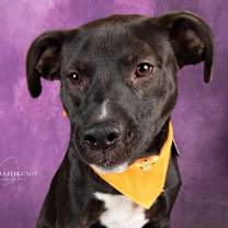 Thumbnail photo of Ezra #3