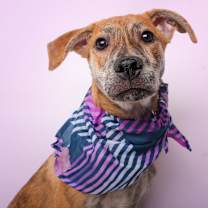 Thumbnail photo of iLumi #1