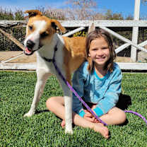 Thumbnail photo of Milo #2