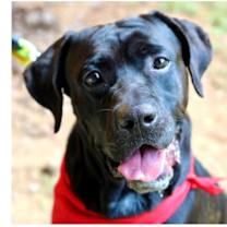 Thumbnail photo of Tiny Bear #1