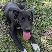 Thumbnail photo of Sabrina #3