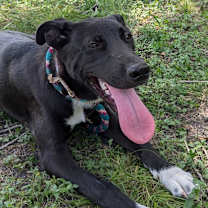 Thumbnail photo of Sabrina #4