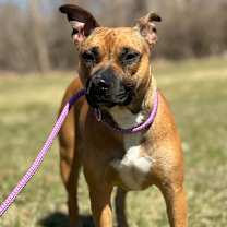 Thumbnail photo of Ruby #1